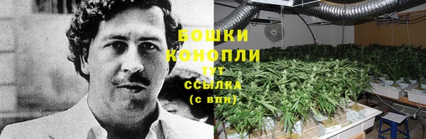 МДПВ Михайловка