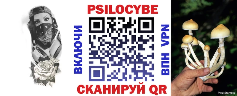 Галлюциногенные грибы Psilocybine cubensis  Купить  Аша 